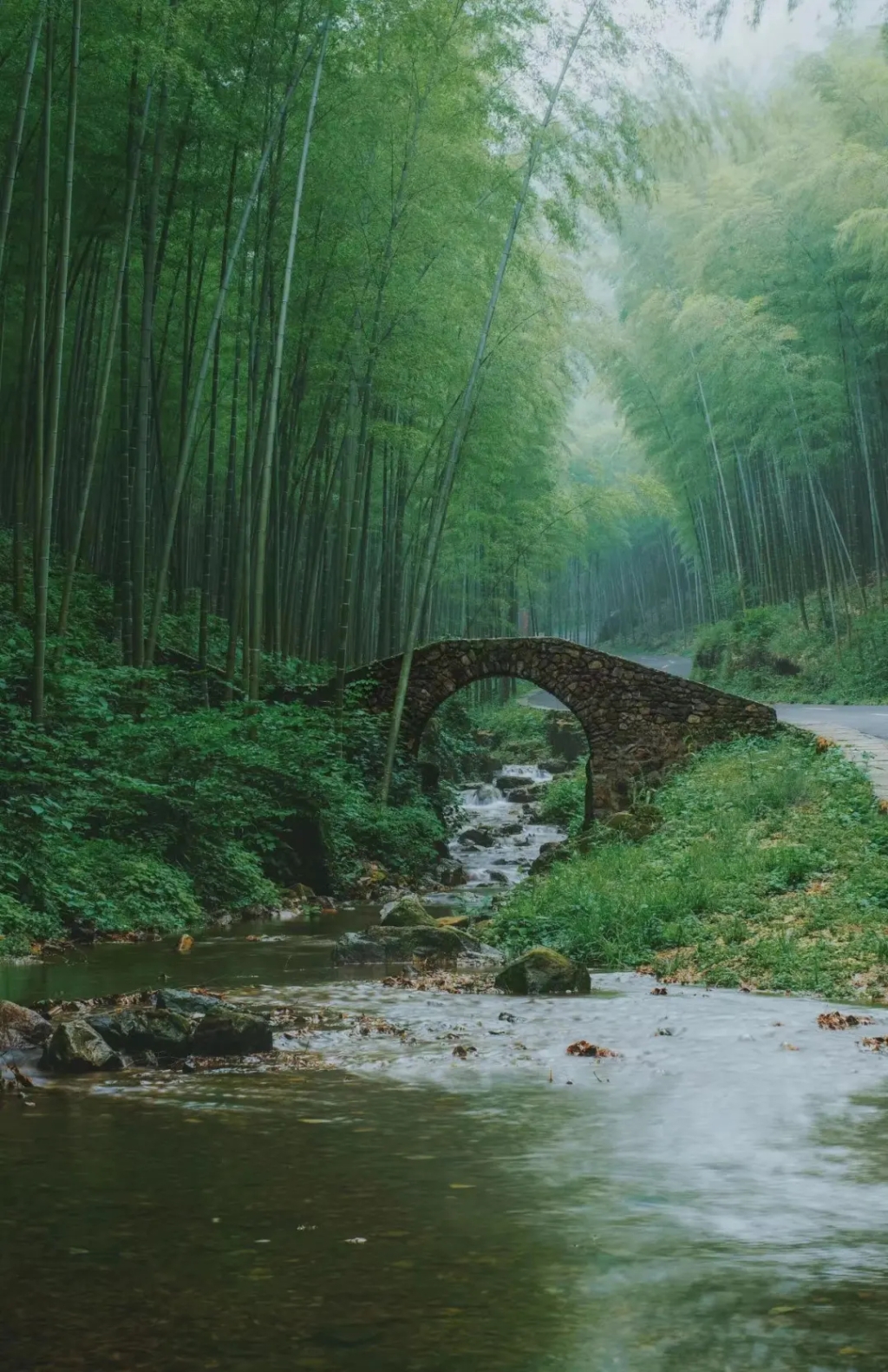 性爱论坛版“只此青绿”