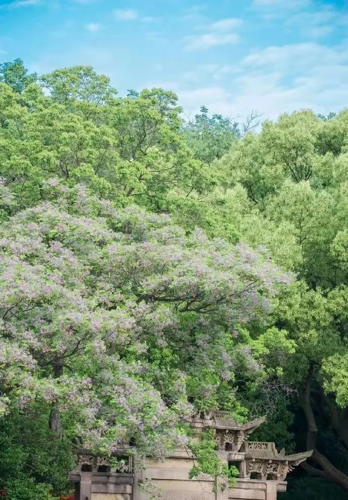 性爱论坛版“只此青绿”