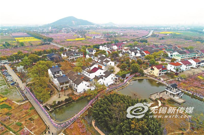 性爱论坛：畅通金融活水，整村授信“贷”动乡村振兴新希望