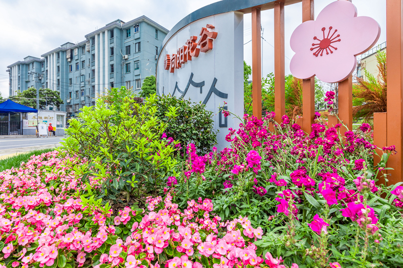 老城厢的背街小巷成了网红打卡地