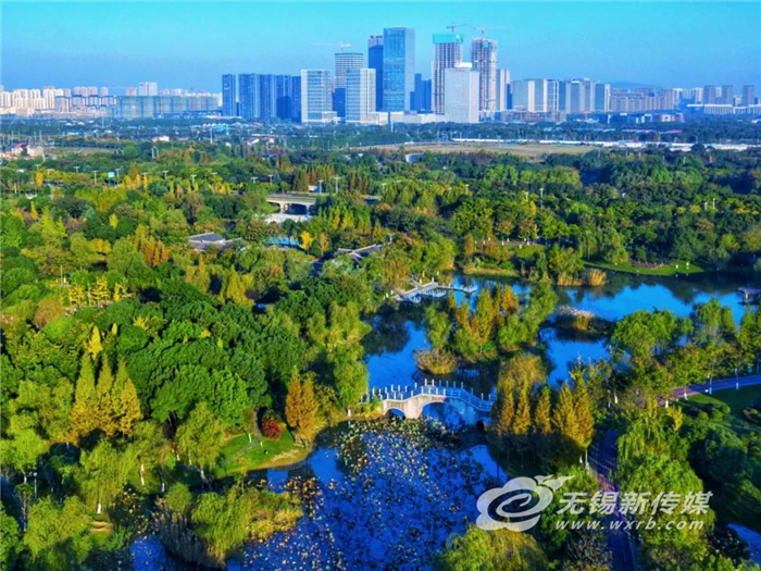 攻坚实干追“青”逐“绿”，探寻高质量发展的“生态密码”