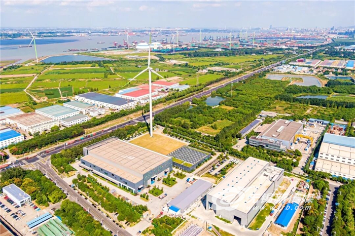 “含绿量”“含金量”双提升，“零碳港口”守“绿”成“金”