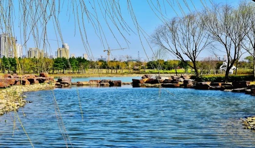 尚贤河湿地公园