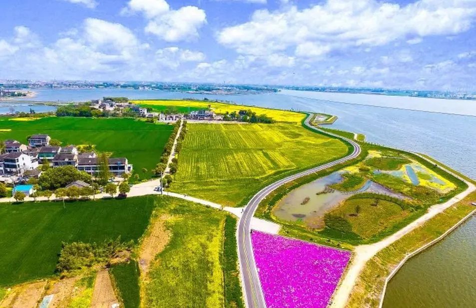 鹅真荡秋香步道