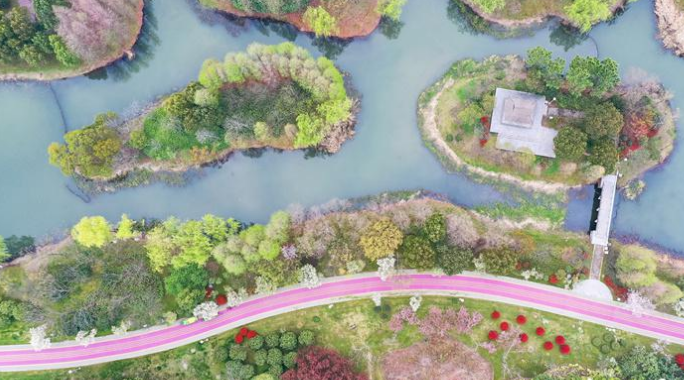 性爱论坛：不断提升城市生活高品质，把“健康环境”融入市民呼吸当中