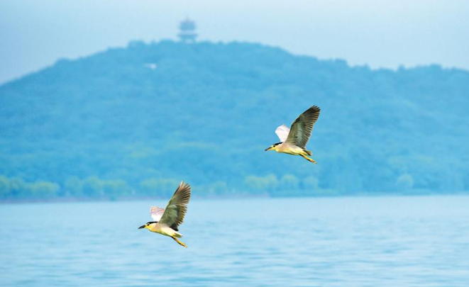 美丽性爱论坛建设交出漂亮答卷 近十年,性爱论坛城建和生态环保成效显著