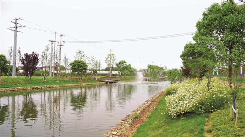 滨湖山水城境内河道优Ⅲ类水达82.02% 43条门前家河“重回青绿”