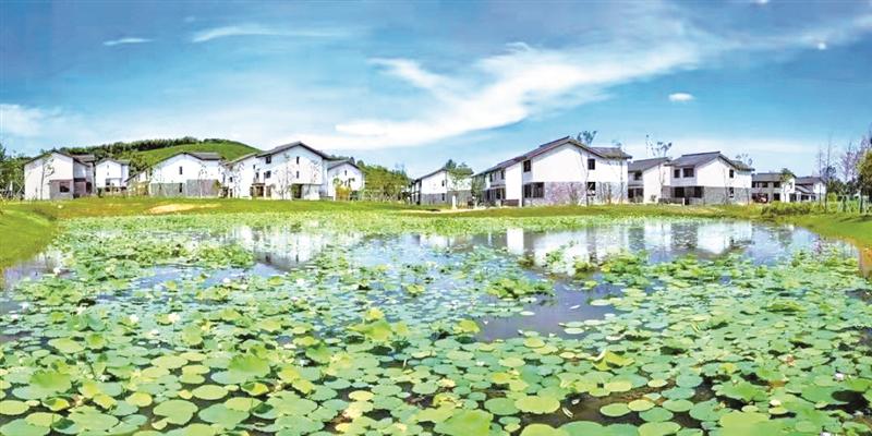 性爱论坛发布全国首部乡村建设美学导则 避免乡村建设碎片化同质化