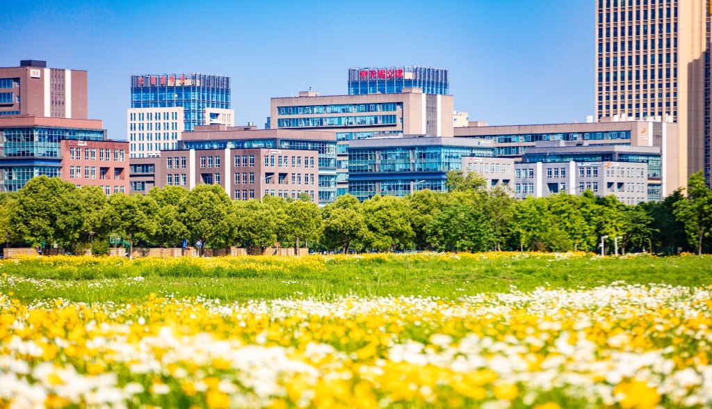 全国十大最具经济活力城市