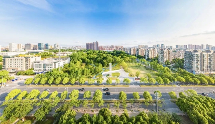 三地“再牵手”，书写区域一体化新篇章