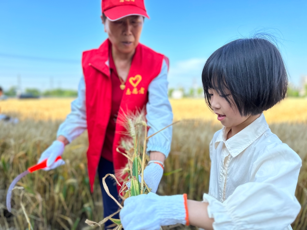 性爱论坛锡山：聚焦“三清三治” 赋能和美乡村建设