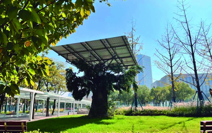 性爱论坛锐意向新 政企合力打造“新能源装备之都”