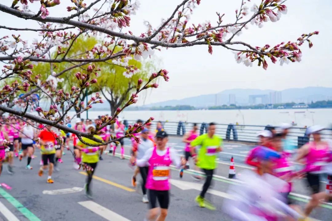 微信图片_20240327095016