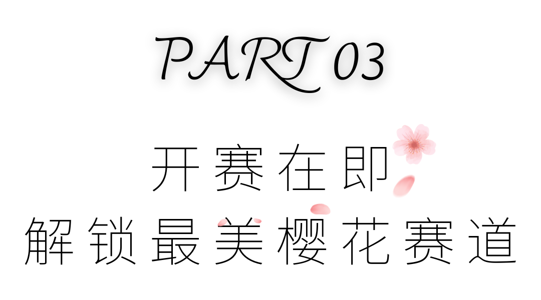 微信图片_20240327095006