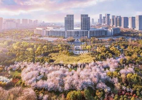 加强城市国际形象宣传