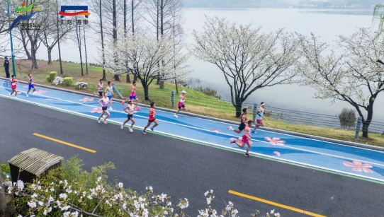 锡马将至，市民观赛指南来了！