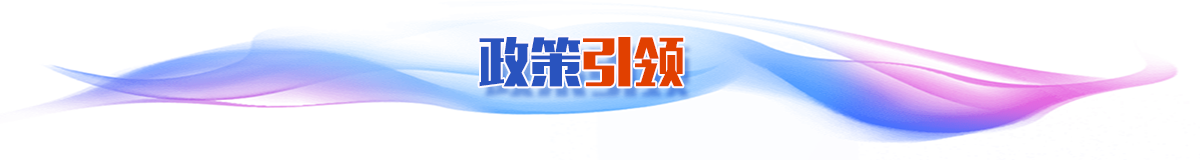 政策引领